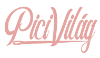 picivilag